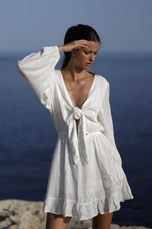 Vestido corto bordado Priscilla GE200